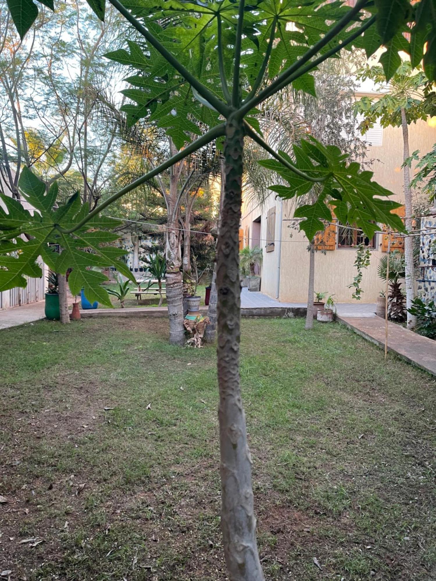 Riad Targante Takate 1 Sidi Bibi Bagian luar foto
