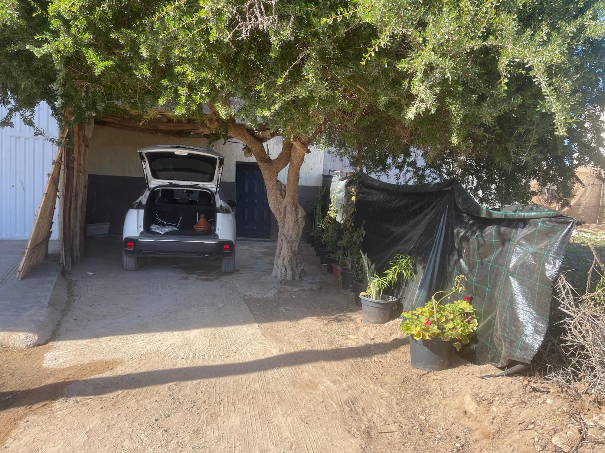 Riad Targante Takate 1 Sidi Bibi Bagian luar foto